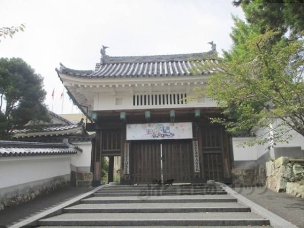 園部高等学校附属中学校