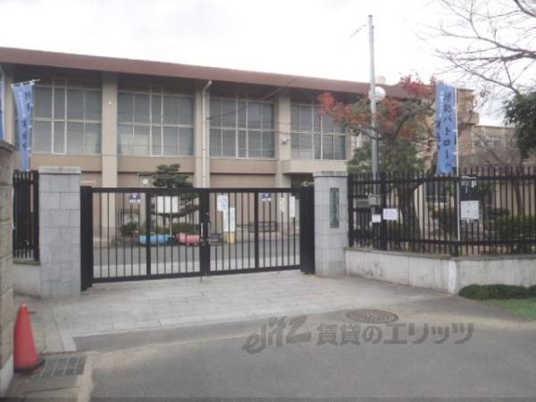 桂小学校
