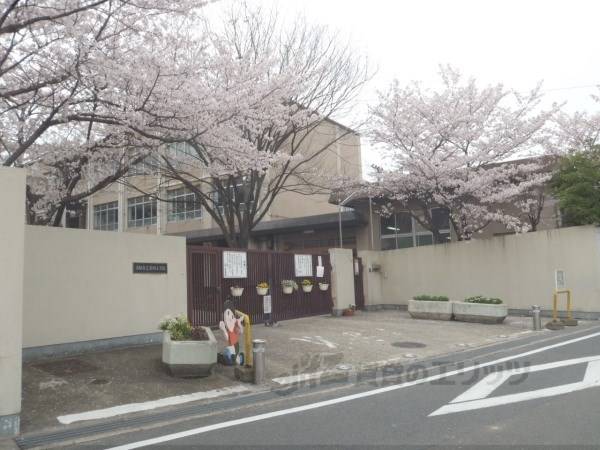 西野小学校