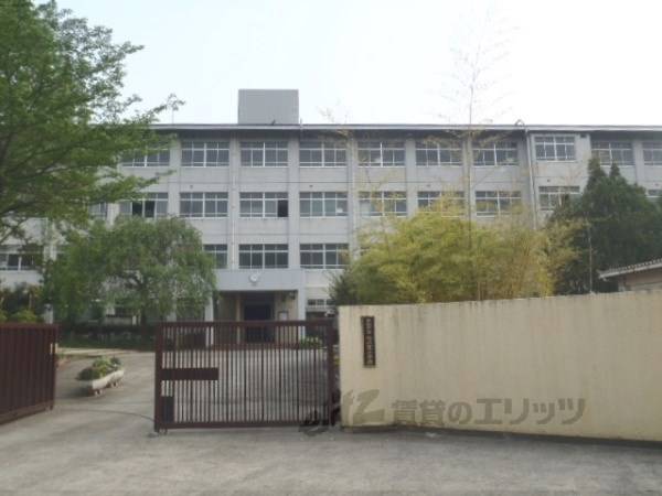 竹の里小学校