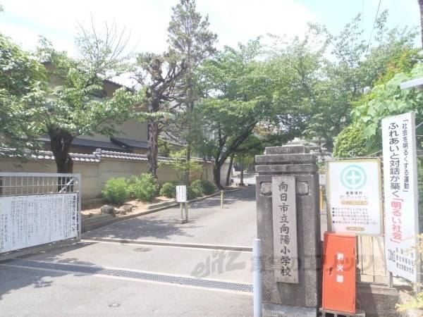 向陽小学校