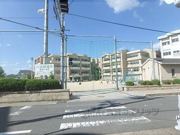 野洲小学校