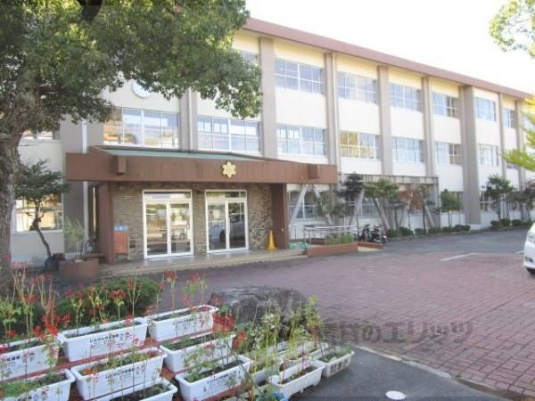 柏木小学校