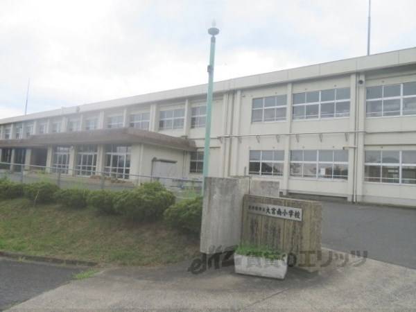 大宮南小学校