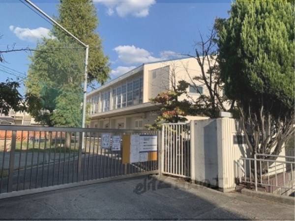 石津小学校