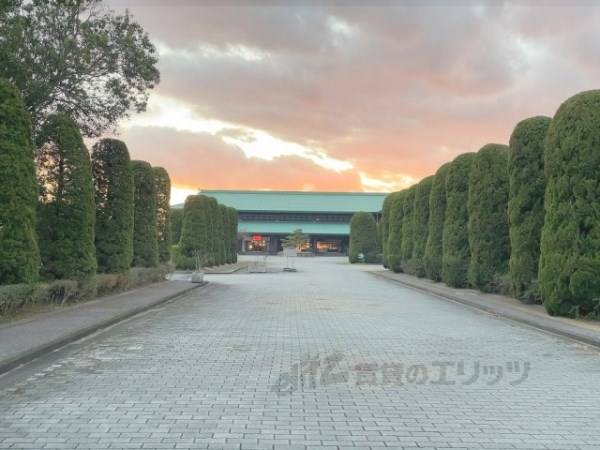 ミシガン州立大学連合日本センター