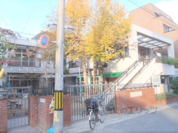 桂保育園