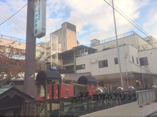 せいしん幼児園