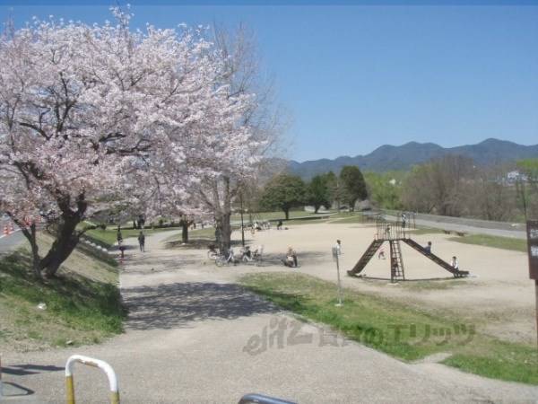 桂川運動公園