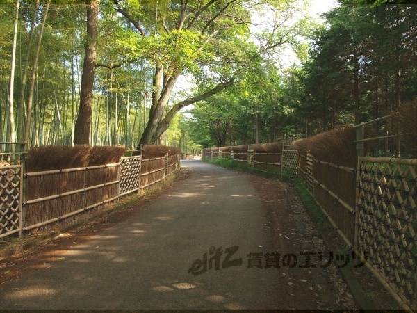 竹林公園