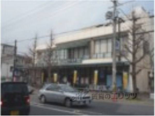 いかりライクス　常盤店