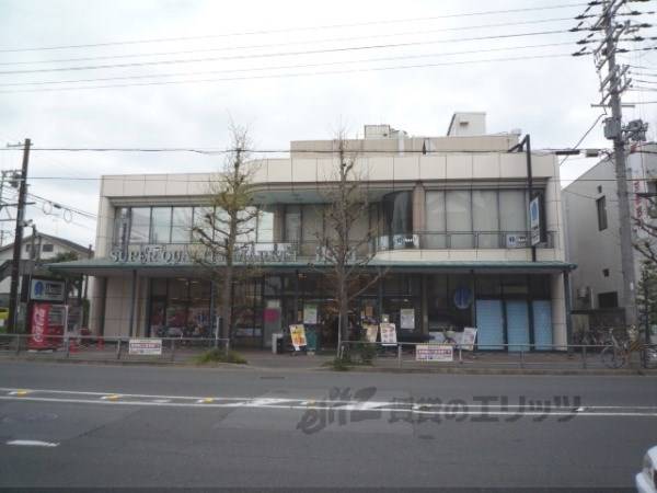 いかりライクス　常盤店
