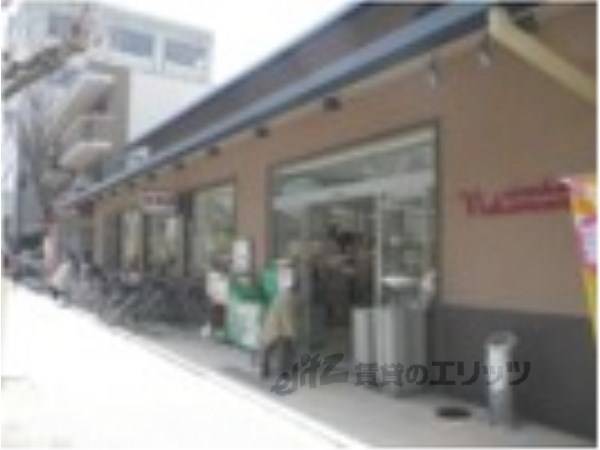 生鮮館なかむら 白川店