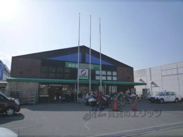新鮮激安市場! 醍醐店