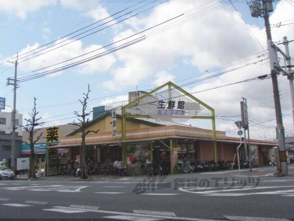 生鮮館 きぬがさ店