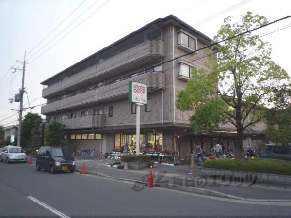 京都コープ　いわくら店