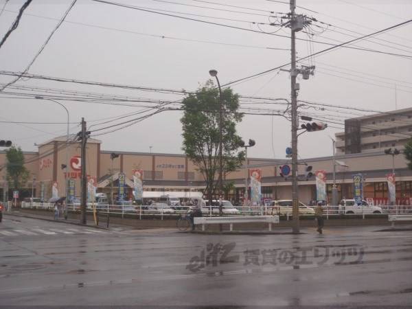 マツモト 洛南店