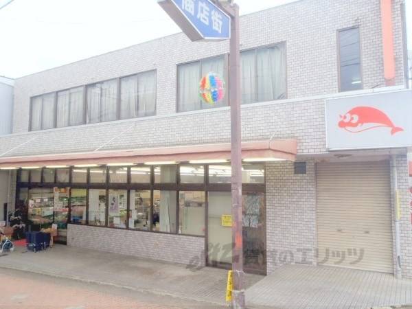 ショッパ水谷