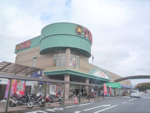 スター グリーンヒル店