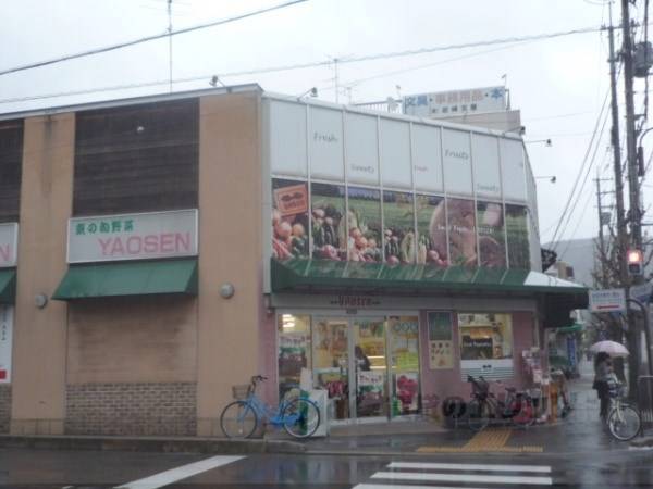YAOSEN
