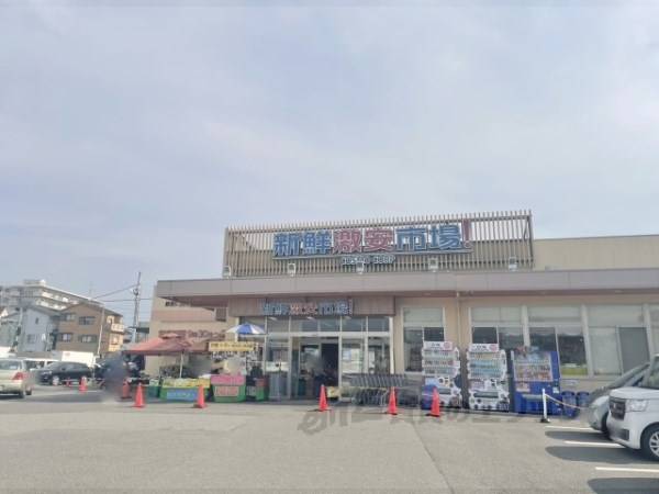 新鮮激安市場！宇治店