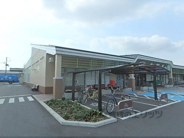 生活協同組合コープ もりやま店