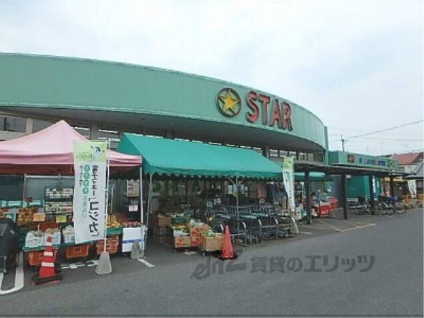スター 守山水保店