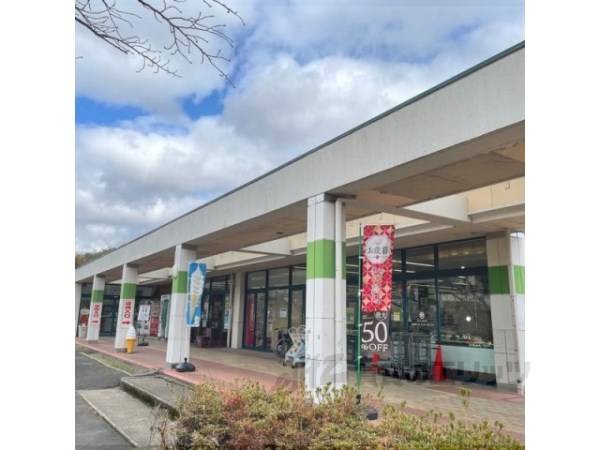サンダイコー京北店