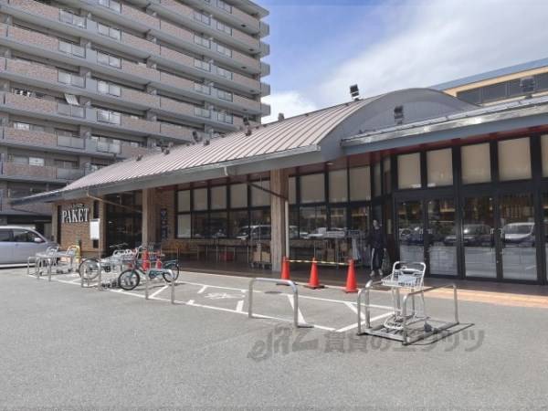 いそかわパケット 十条店