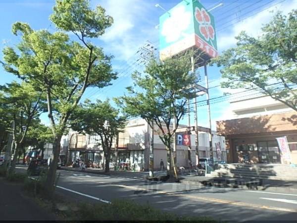 ライフ　男山店