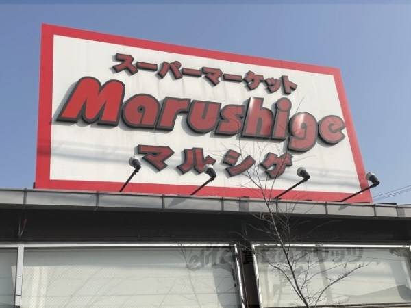 マルシゲ　泉原店