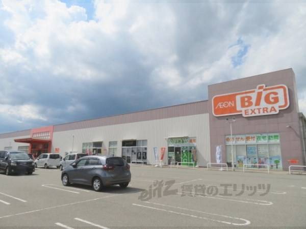 ザ・ビッグエクストラ 氷上店