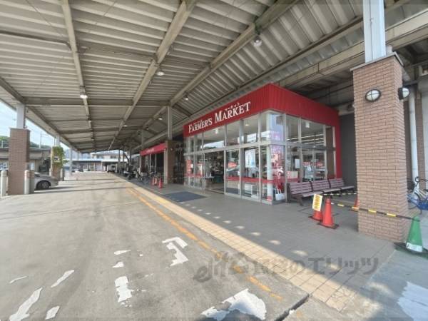 ファーマーズマーケット　スマイル阪神