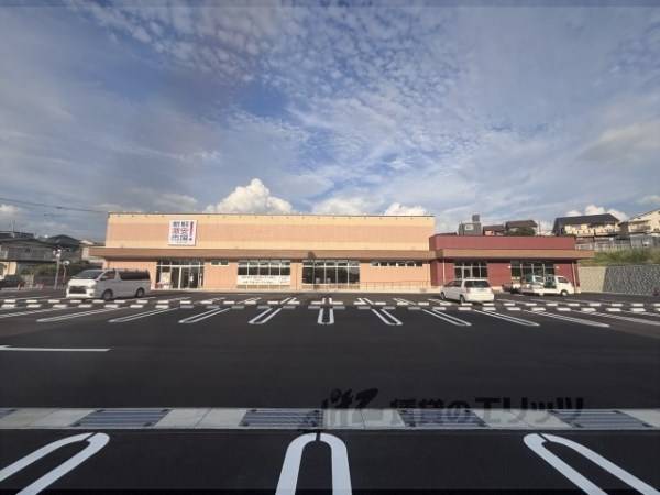 新鮮激安市場！木幡店