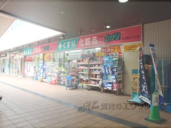 ドラッグランドひかり ビブレ店