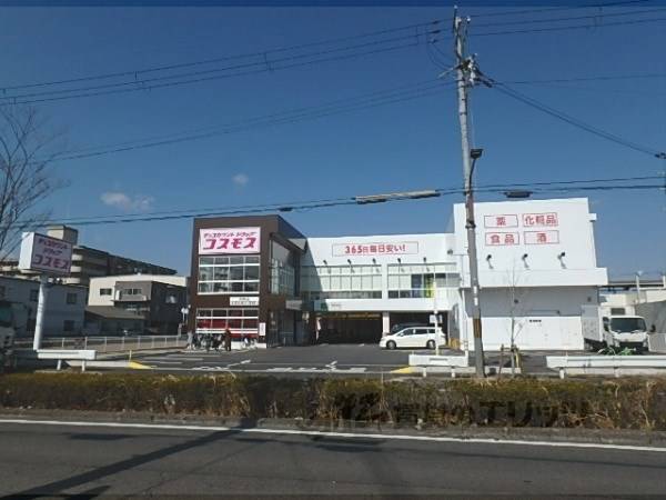 コスモス 祥栄店