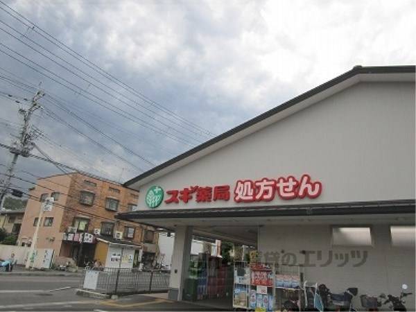 スギ薬局上桂山田口店