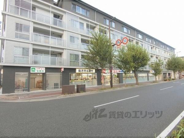 スギ薬局 下鴨店