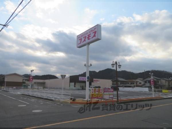 ドラッグストアコスモス 石部店