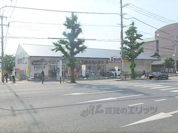 ダックス 左京北白川店