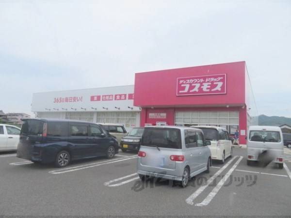 ディスカウントドラッグコスモス　大宮店