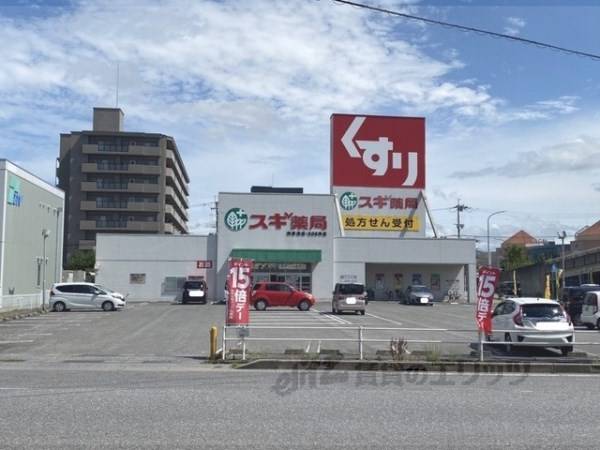 スギ薬局 南彦根店