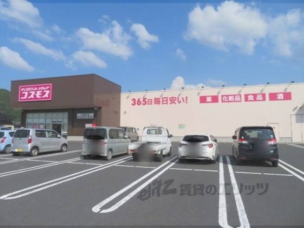 コスモス 与謝野店