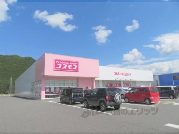 コスモス　氷上店