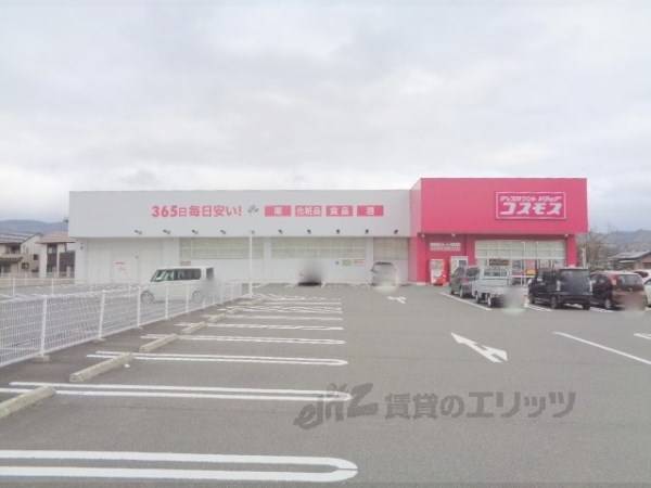 コスモス　大宮店