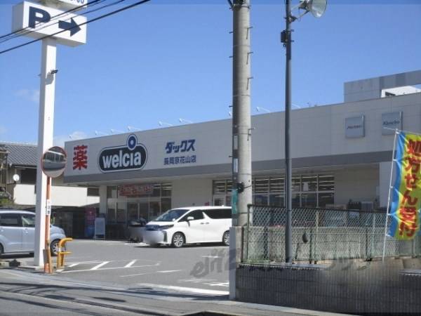 ダックス　長岡京花山店