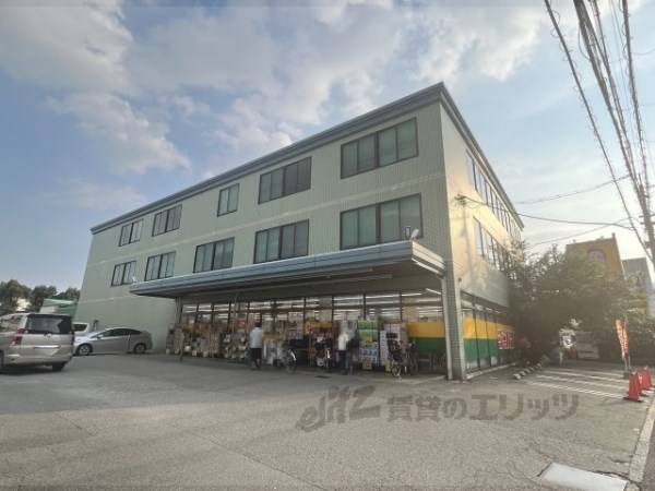 ジャパン　伊丹店