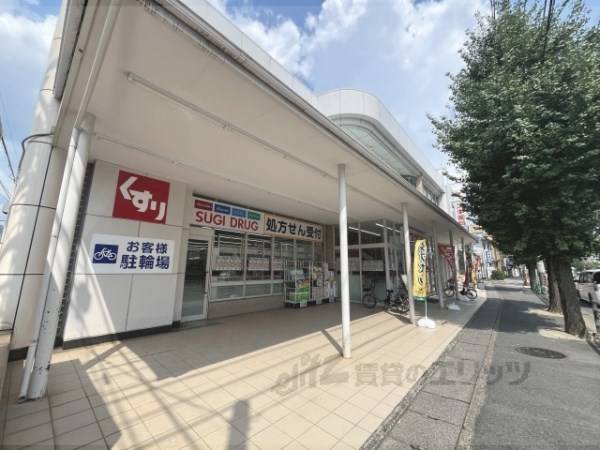 スギ薬局　常盤店