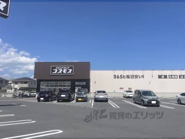 コスモス　下阪本店