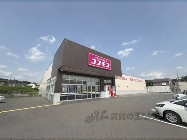 コスモス　尼寺店